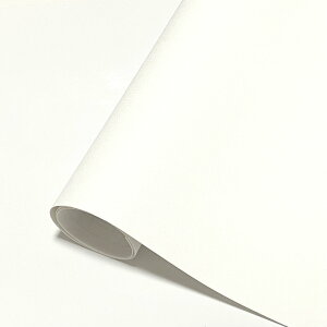 ǎV[ DIY 5m V[ ͂ VvzCg ̂ (ǎ \ւACŊȒPɁAǎ ̏ォ\ǎ)  h n  ͂ǎ ǎ ̂t