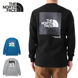 THE NORTH FACE ノースフェイス バック グラフィックロゴ ロンT NT32231 長袖Tシャツ メンズ