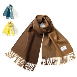 The Inoue Brothers UECmEGuU[Y xr[ApJ 2g[ XJ[t}t[ TIB-ALAC2004ML Mtg v[g **