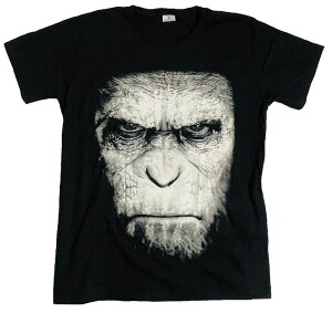 ̘f TVc PLANET OF THE APE tVc ftVc [r[tVc MOVIE TVc f Y fB[X jZbNX ohtVc bNtVc