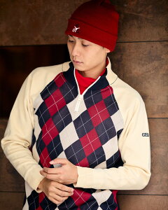 y50OFFzyzGBGA[KCjbg/Y/Z[/312QD601M-L /Mtg S[fxA Golden Bear