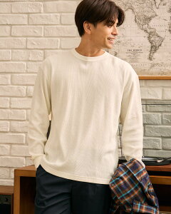 y50OFFzyzN[lbNTVc/Y/Z[/Z[/314QC441M-LL /v[g/Mtg S[fxA Golden Bear