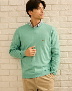 y50OFFzyzN[lbNjbg/Y/Z[/314QC646M-LL /v[g/Mtg S[fxA Golden Bear