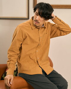 y50OFFzyzR[fCVc/Y/Z[/314QD215M-LL /v[g/Mtg S[fxA Golden Bear