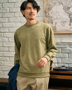 y50OFFzyzSXEFbg/Y/Z[/314QD431M-LL /v[g/Mtg S[fxA Golden Bear