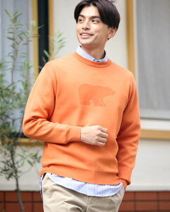 y50OFFzyzN[lbNjbg/Y/Z[/314QD612M-L /v[g/Mtg S[fxA Golden Bear