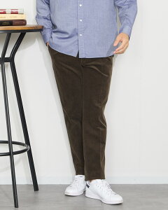 y50OFFzyzR[fCpc/Y/Z[/315QD71697-100 Mtg S[fxA Golden Bear