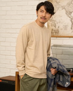 y50OFFzyzN[lbNXEFbg/Y/Z[/315QE4233LMtg S[fxA Golden Bear