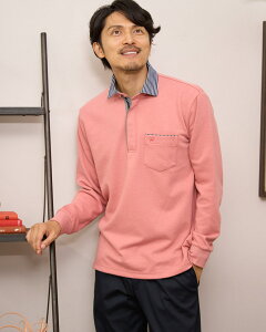 y50OFFzyz|Vc/Y/Z[/314QE462M-LL /v[g/Mtg S[fxA Golden Bear