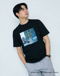 y50OFFzyzBRANDALISED TVc/Y/Z[/314R4532/M-LL /v[g/Mtg S[fxA Golden Bear