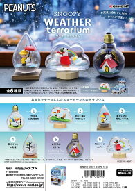 (予約)6月上旬再入荷分 リーメント　SNOOPY WEATHER Terrarium　全6種　1BOXでダブらず揃います。