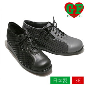 y EH[LOV[Y t@Xi[t wlC { wlC fB[XV[Y S[ftbg