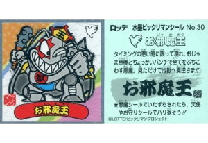 nrbN}`R No.30 ז rbN}V[Y