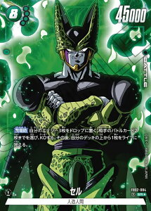 hS{[X[p[J[hQ[ t[W[h ΂̓C SR Z FB02-084@ypz