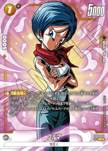 hS{[X[p[J[hQ[ t[W[h ΂̓C SR u} FB02-130@ypz