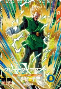 hS{[X[p[_Co[Y 6e O[gTC} yGDRz SDV6-029