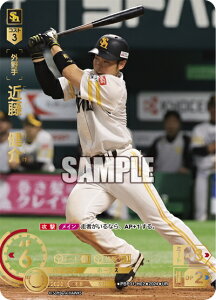 v싅J[hQ[ h[I[_[ pE[O \tgoNz[NX O ߓ@ PBP01-H02 yURz