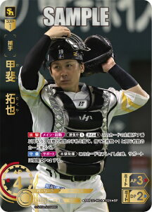 v싅J[hQ[ h[I[_[ pE[O \tgoNz[NX ߎ b@ PBP01-H04 ySPz