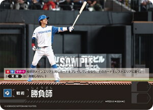 v싅J[hQ[ h[I[_[ pE[O kC{nt@C^[Y p t PDO-01 yCz