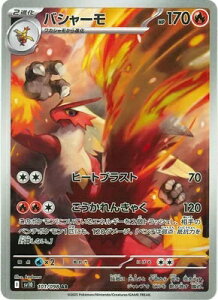 |PJ[hQ[ Pbgc̉h oV[ SV10-101 AR