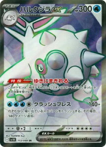 |PJ[hQ[ Pbgc̉h nNWex SV10-113 SR