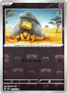 |PJ[hQ[ yLzy}X^[{[zPK-SV2a-063 P[VB C