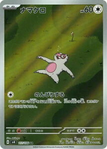 |PJ[hQ[ duCJ[ i}P SV8-117 AR