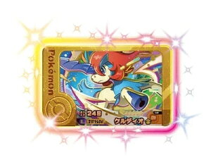 �|�P�����t�����_ ���K�V�[�s�b�N ��5 �P���f�B�I 2-3-L02