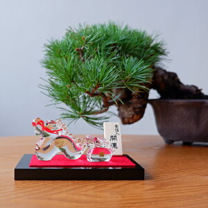 y2024Nx̔zCNu eqv KX u  v`Mtg yY N  N J^ ^  C CN 2024N x 