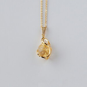  lbNX  ANZT[ v[g 蕨 CO̕ ̓ H|i yY  ΐ쌧 ΐ a_ {̂yY