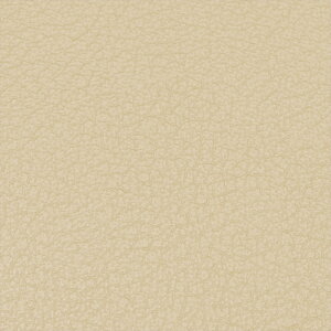 mA HNV[ VOXY GXN@CA 80n _bV{[h}bg PVCU[ { Eh~ _bV{[h̎O΍ hXAbv _bV}bg