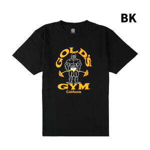 y{|Cg10{zyTCgzGOLD'S GYM S[hW G5190 x[VbNTVc80fs(GCeB[Y) {TCY| Be[Wyꕔב҂z