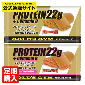 楽天市場 プロテインバーの通販