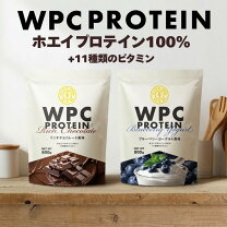 楽天市場】ゴールドジム ホエイプロテイン ダブルチョコレート風味2kg