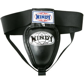 【日本総代理店】WINDY(ウィンディ)ファールカップ APT-2 Mサイズ| 格闘技 ボクシング キックボクシング ムエタイ プロテクター