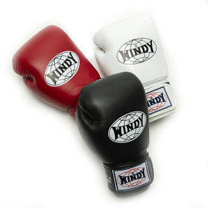 ボクシンググローブ トレーニングの人気商品 通販 価格比較 価格 Com