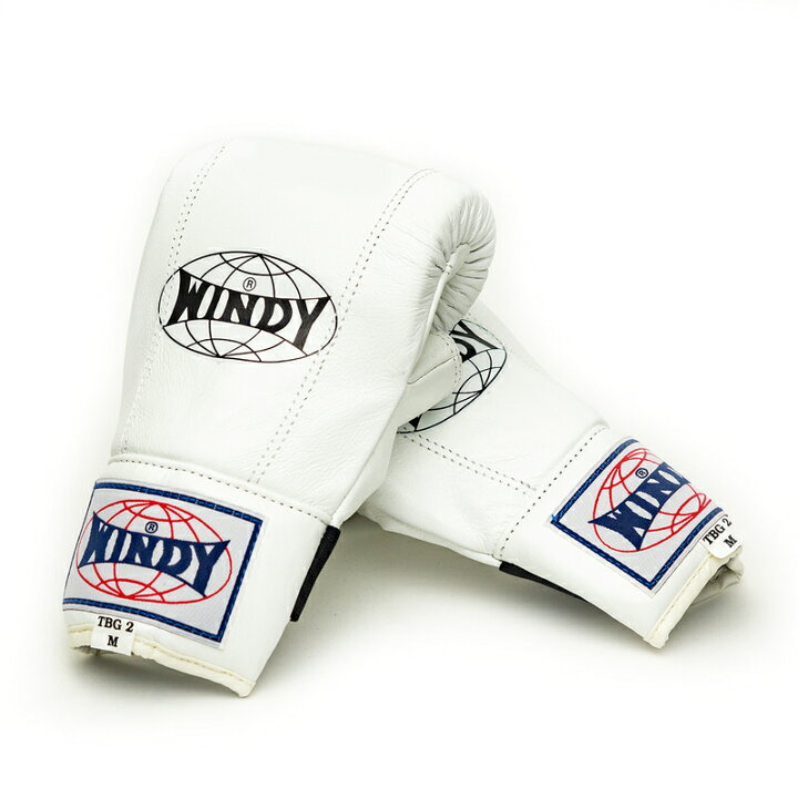 キックミット Windy製 ペア ボクシング