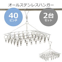 楽天市場】洗濯 ピンチハンガー ステンレス 40個の通販