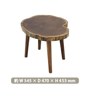  Xc[ VR i W545×D470×H455(mm) VR؃Xc[ VR ֎q CX l| ؐXc[ _CjO rO   `FA wꖳ ؐ Ƌ  glc055