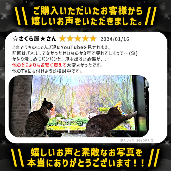 楽天市場】送料無料 液晶テレビ保護パネル 55インチ 約横1240×奥行30 