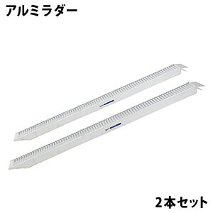  Vi dʃA~_[ 100cm 309cm 2{Zbg A~ubW _[ A~_[ oCN_[ oCNp_[ oCNp ]ԗp lփoM[ k^@ oCNpX[v 