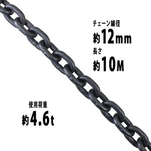  `F[ a12mm gp׏d4.6t 4600kg 10m G80 GRm~[f   ݂ `F[XO XO`F[ N`F[ `FC  N[ zCXg ʊ|