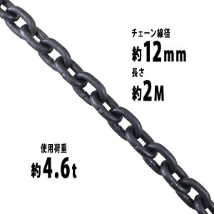  `F[ a12mm gp׏d4.6t 4600kg 2m G80 GRm~[f   ݂ `F[XO XO`F[ N`F[ `FC  N[ zCXg ʊ|