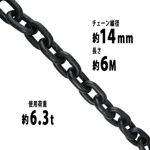  `F[ a14mm gp׏d6.3t 6300kg 6m G80 GRm~[f   ݂ `F[XO XO`F[ N`F[ `FC  N[ zCXg ʊ|