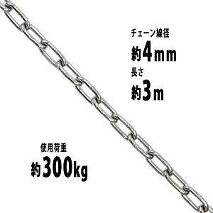  XeX`F[ `F[ a4mm gp׏d300kg 3m SUS304 JISKi XeX   ݂ `F[XO XO`F[ N`F[ `FC  N[