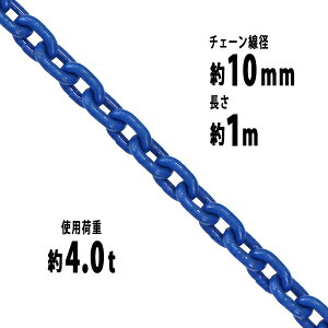  `F[ a10mm gp׏d4t 4.0t 4000kg 1m G100 nCO[hf   ݂ `F[XO XO`F[ N`F[ `FC  N[ zCXg