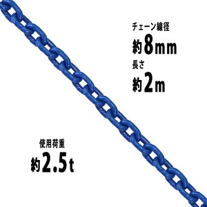  `F[ a8mm gp׏d2.5t 2500kg 2m G100 nCO[hf   ݂ `F[XO XO`F[ N`F[ `FC  N[ zCXg ʊ|