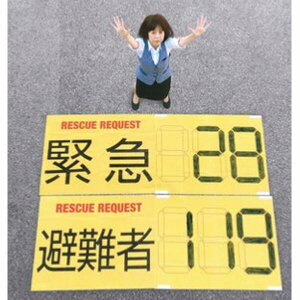 RESCUE REQUEST XL[NGXg RH sDz  `B ЊQ@Џꏊ̏󋵂mĂ炤߂ɁA󂩂F₷̃V[gł