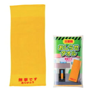 hЃObY@ł肪Ƃ@ۊmF^I@ЊQm点^I@eƒ̈ۂmF鎞ԂZkł@nkEÔgEЊQE䕗ɖ`iƂĎg@2ނ