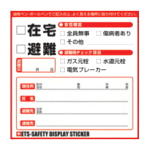 hЃObY@ۊmF@ETS-SAFETY DISPLAY STICKER V[^Cv100@nkEÔgEЊQE䕗ɖ`iƂĎg@2ނ